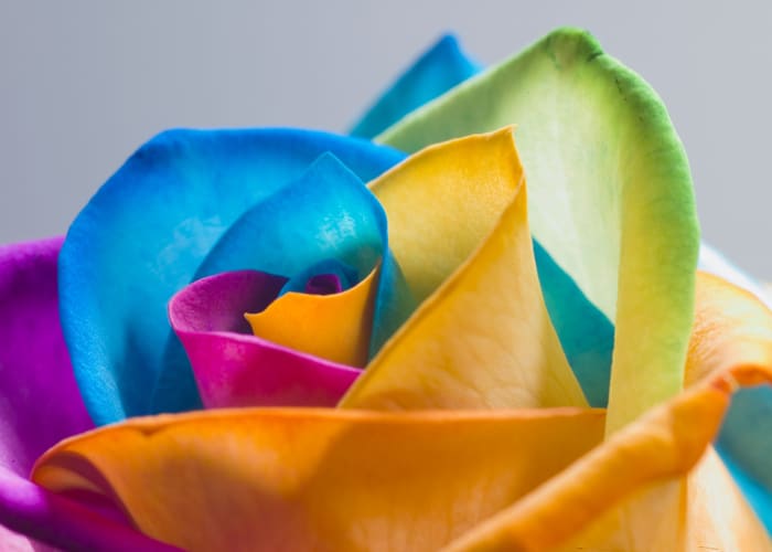 Flowerdyeslider