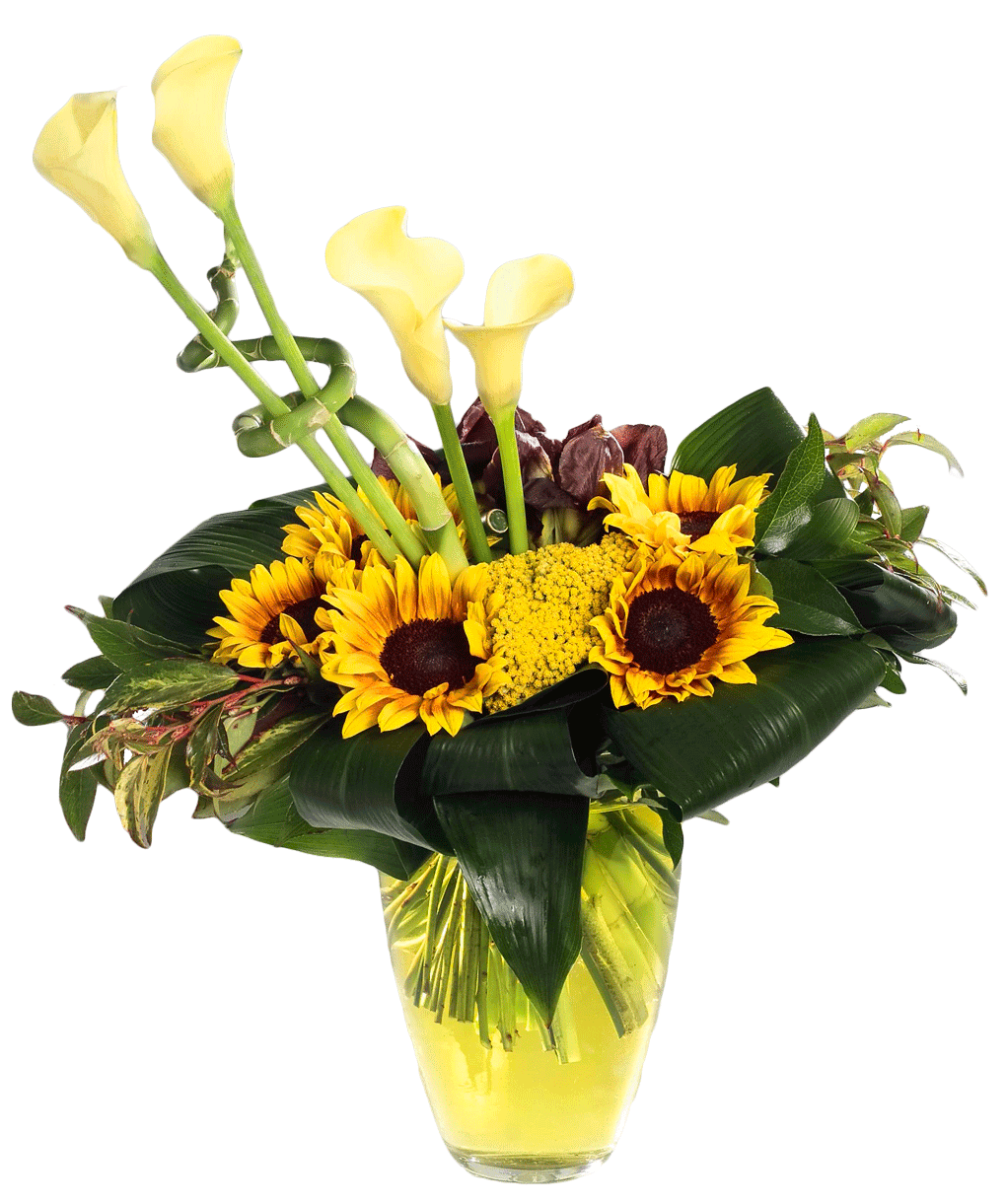 yellow_color